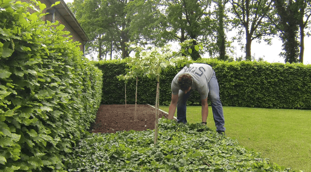 Die richtige Menge Bodendeckermatten wählen