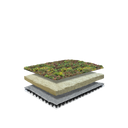 Dachbegrünung System Leichtgewicht mit Sedum