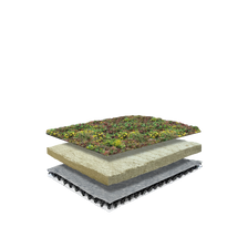 Dachbegrünung System Leichtgewicht mit Sedum