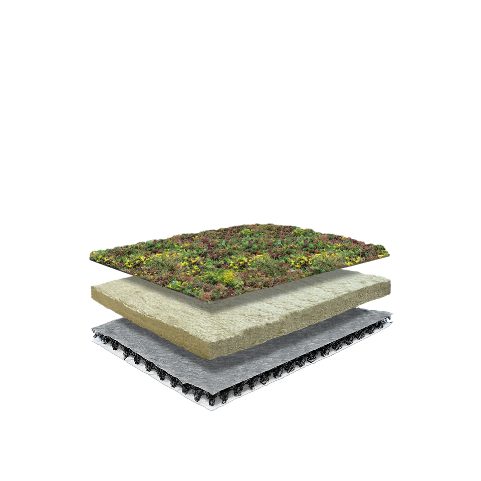 Dachbegrünung System Leichtgewicht mit Sedum