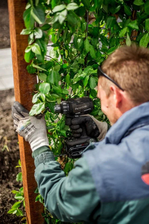 Eindbeugel groen gecoat