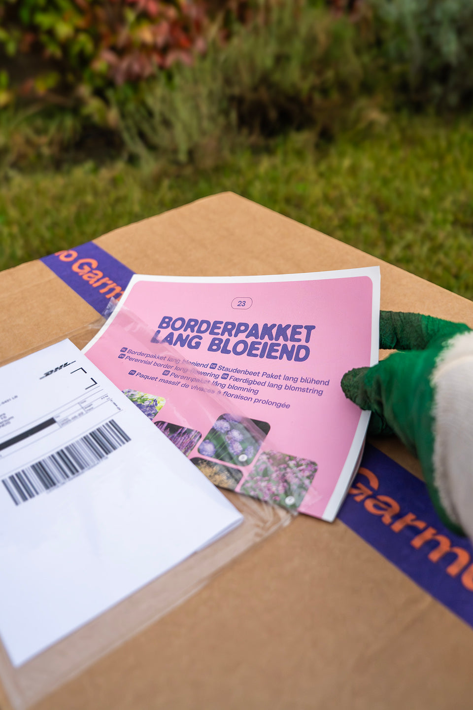 Staudenbeet Paket Duftend