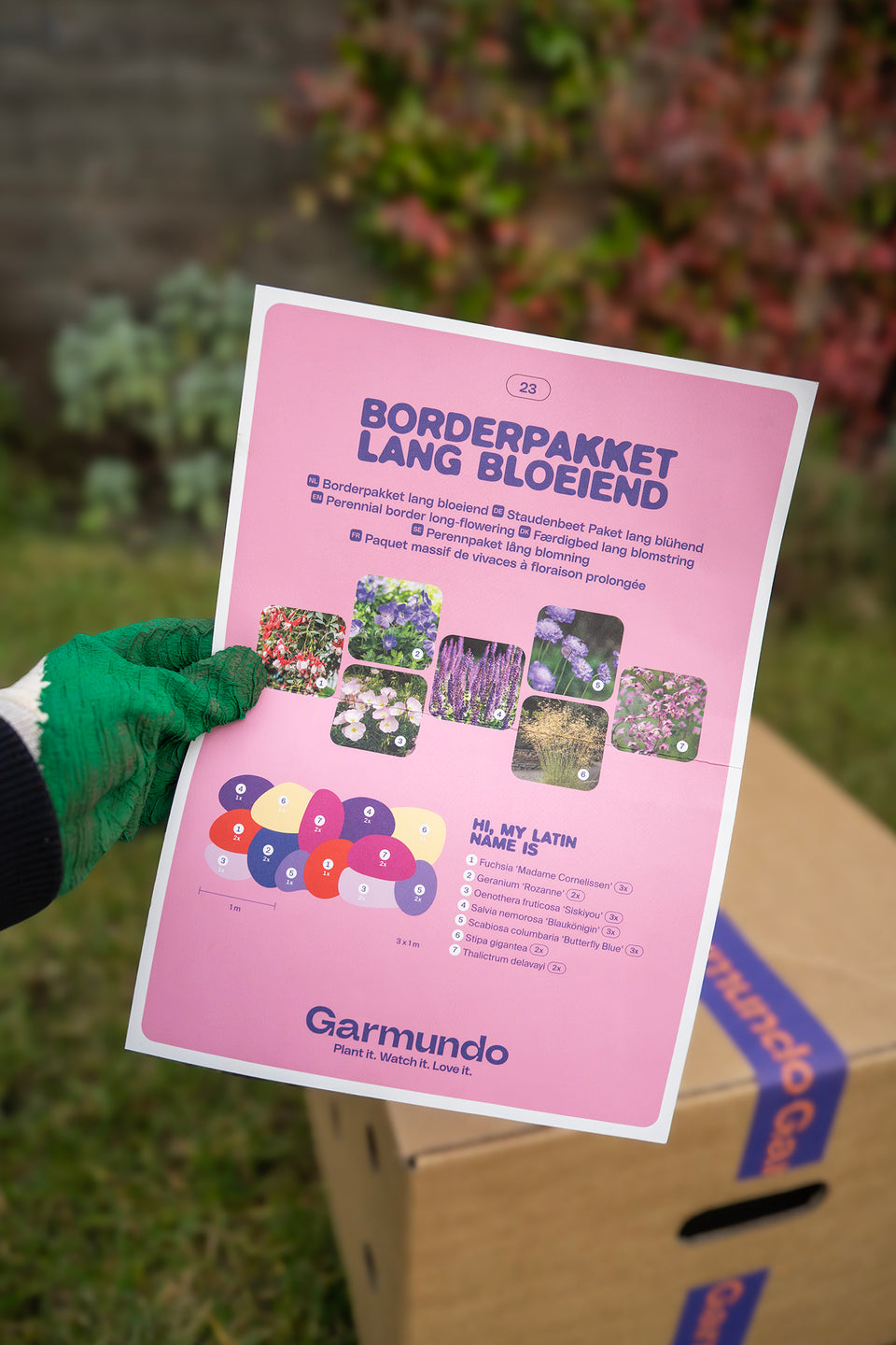 Staudenbeet Paket Duftend