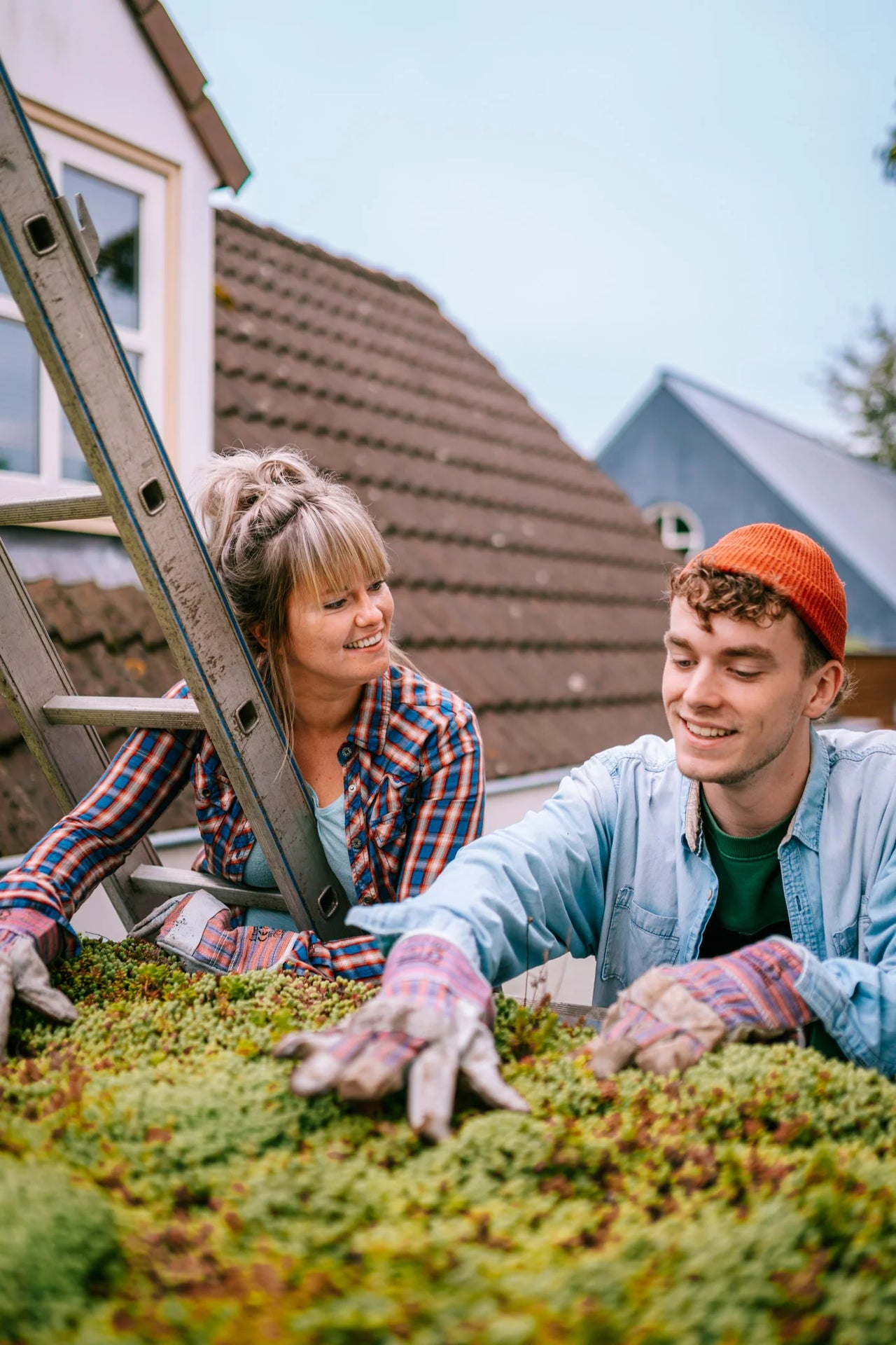 Dachbegrünung System Leichtgewicht mit Sedum