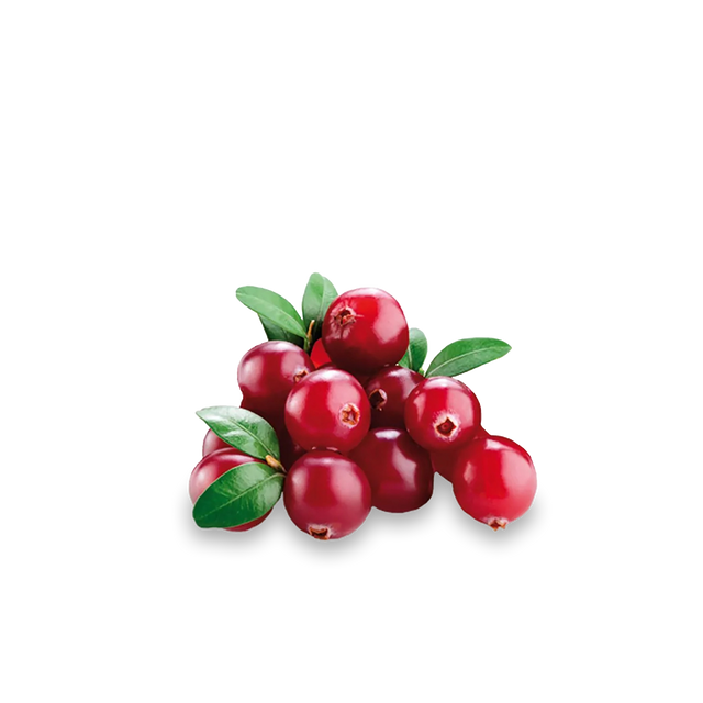 Cranberry 'Early Black'