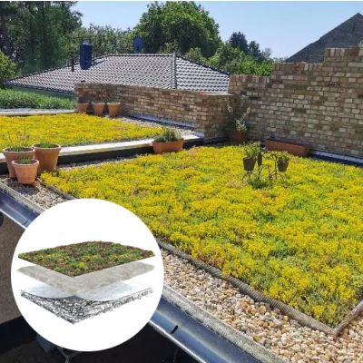 Dachbegrünung System Leichtgewicht mit Sedum (1m²)